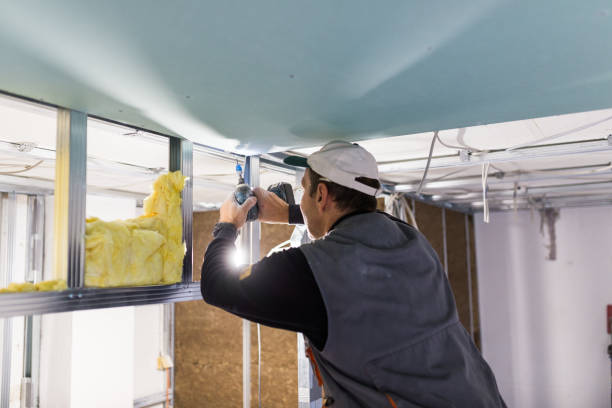 Best Types of Insulation in Hacienda Heights, CA